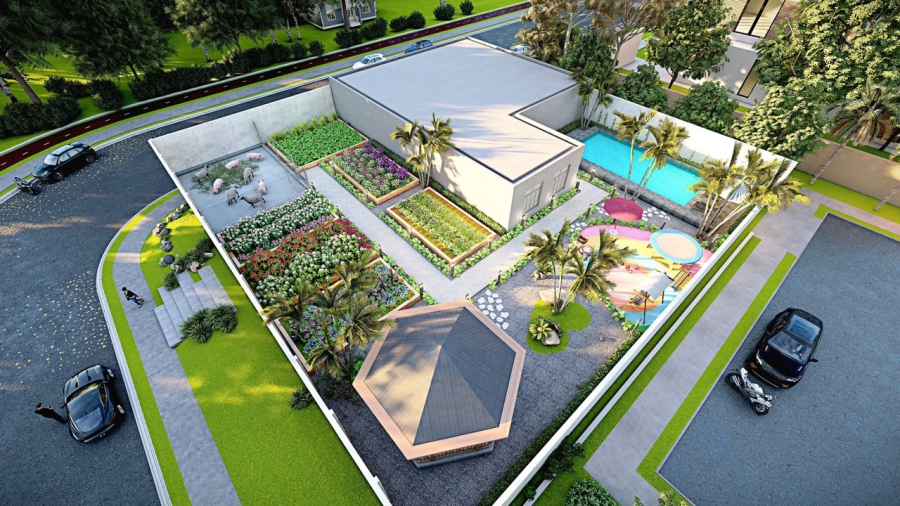 Quy hoạch, cải tạo sân vườn